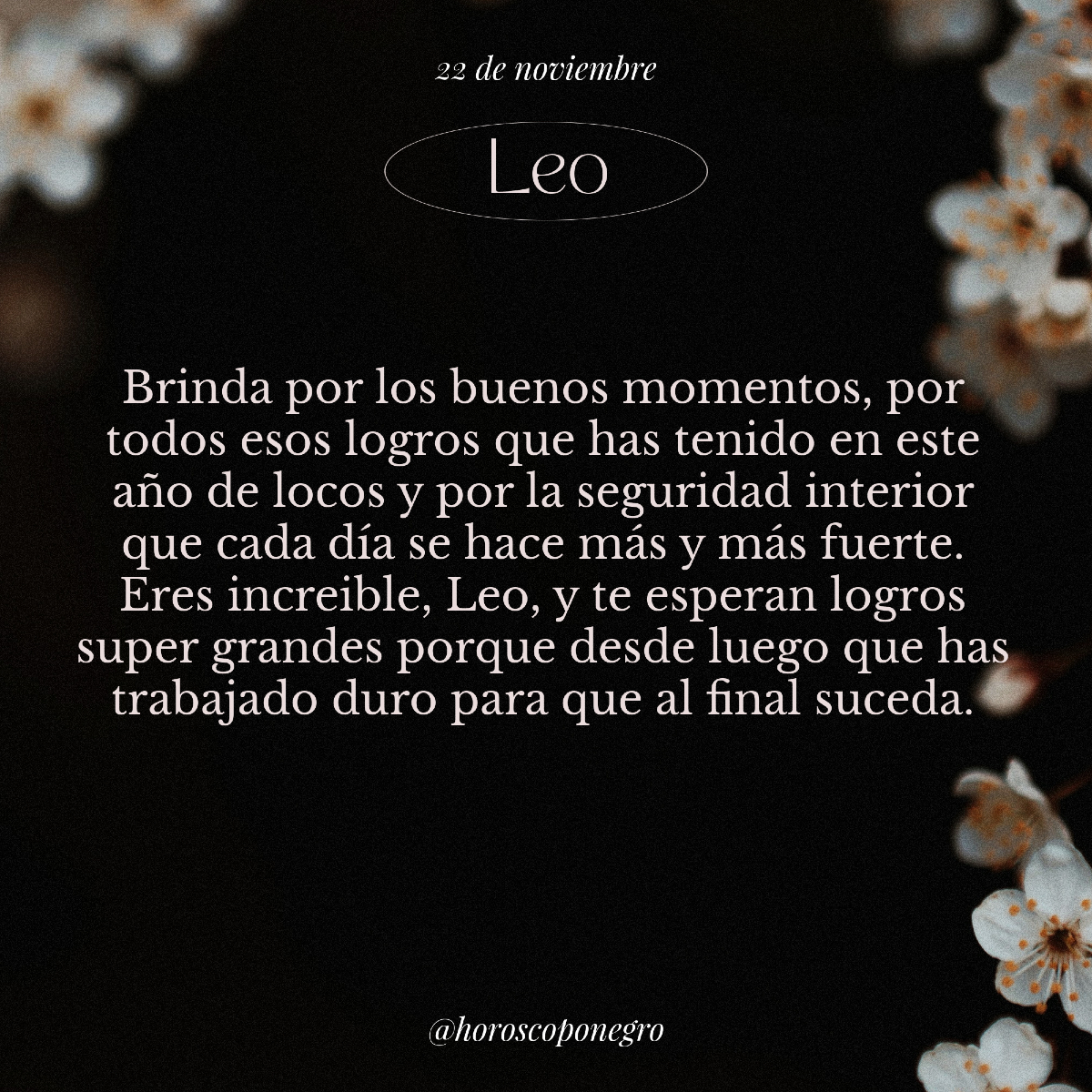 ✨♌️✨