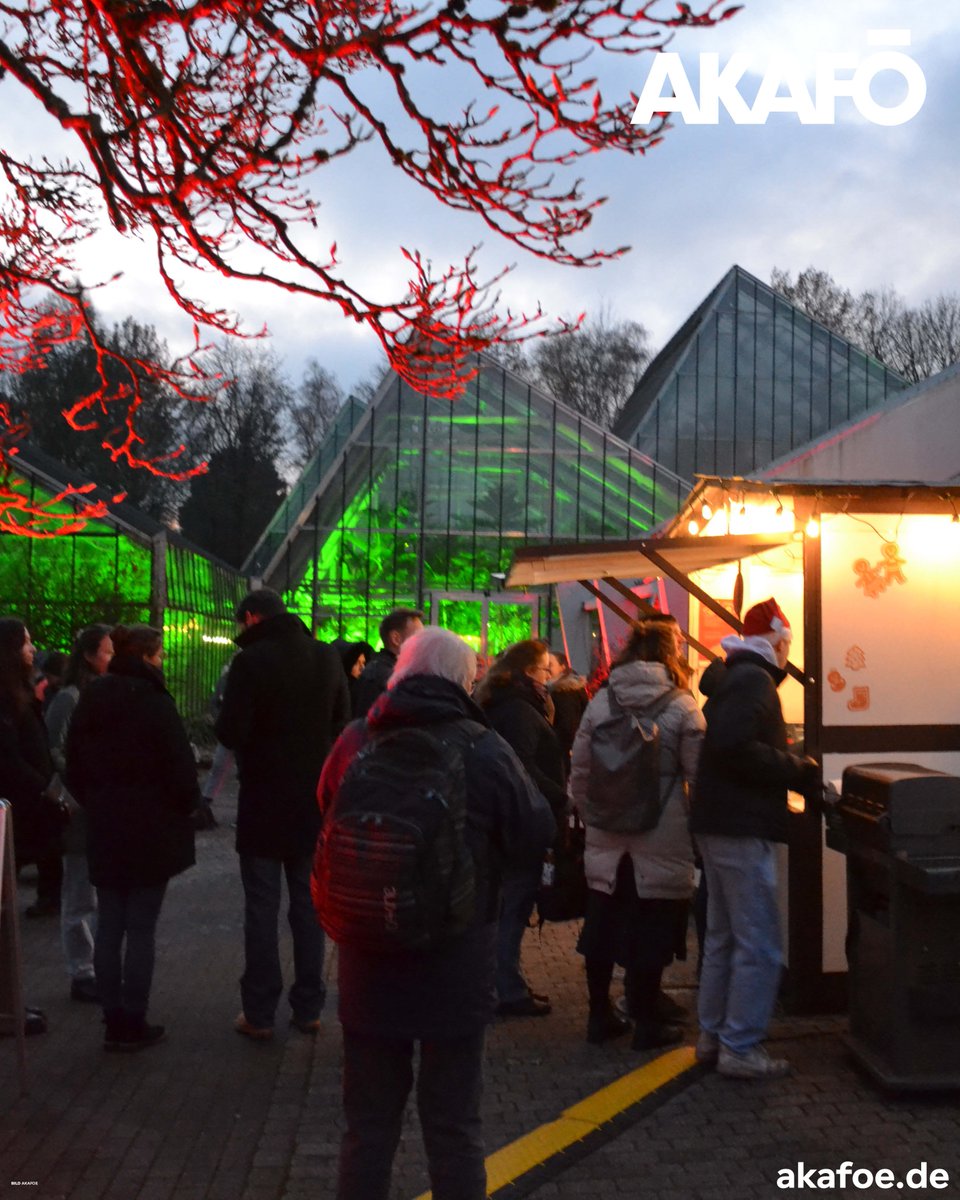 AKAFÖ (@akafoe) on Twitter photo 🎄 Budenzauber im Botanischen Garten🎄
📍 Wann?
📅 28.11., 5.12., 12.12. & 19.12.
🕔 Von 17 bis 21 Uhr
🚪 Zugang ausschließlich über den Haupteingang an der N-Südstraße – alle anderen Eingänge sind geschlossen.
Kommt vorbei und genießt die festliche Stimmung! 🕯️❄️ 🎄 Budenzauber im Botanischen Garten🎄
📍 Wann?
📅 28.11., 5.12., 12.12. & 19.12.
🕔 Von 17 bis 21 Uhr
🚪 Zugang ausschließlich über den Haupteingang an der N-Südstraße – alle anderen Eingänge sind geschlossen.
Kommt vorbei und genießt die festliche Stimmung! 🕯️❄️