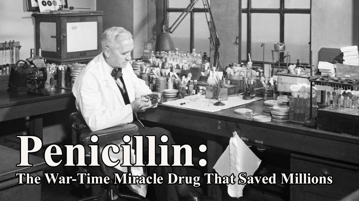 Penicillin: The miracle drug that changed WWII. Discover the journey from Alexander Fleming's discovery to mass production. 💊Read the full story: ibms.org/resources/news… #MedicalHistory #IBMSHistoryCommittee #BiomedicalScience