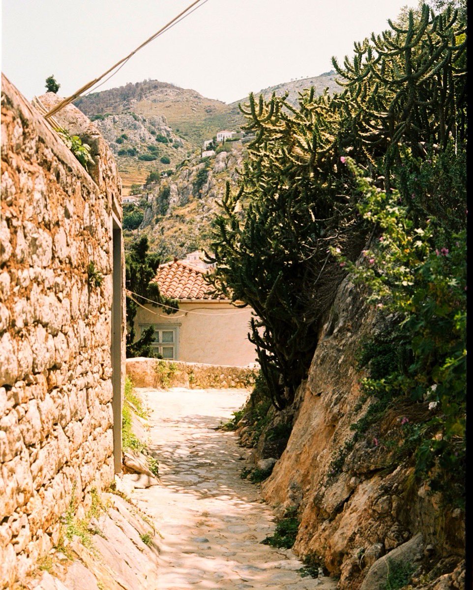 views from a walk above town. hydra, spring ‘23. photographed on portra 160.