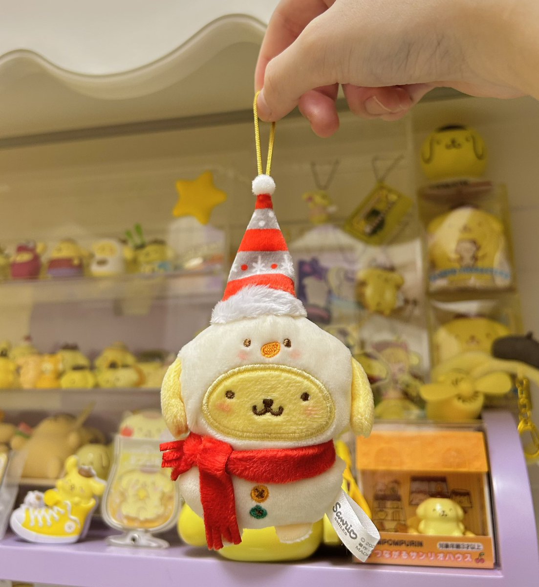 pompom__hk's tweet photo. 雪人pom💛⛄️ https://t.co/OYZfuEhFGc