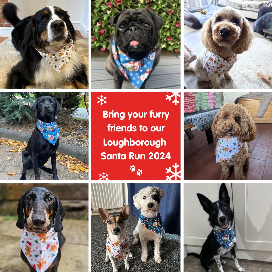 Have you signed up for our Loughborough Santa Run on December 1st? 🎅🏻 Join us for a fun family event and receive a Santa t-shirt and finishers medal! Don’t forget to grab a doggy bandana for your furry friends on the day! 🐶🌈 

Book your space here: rainbows.co.uk/fundraise/even… 🌈