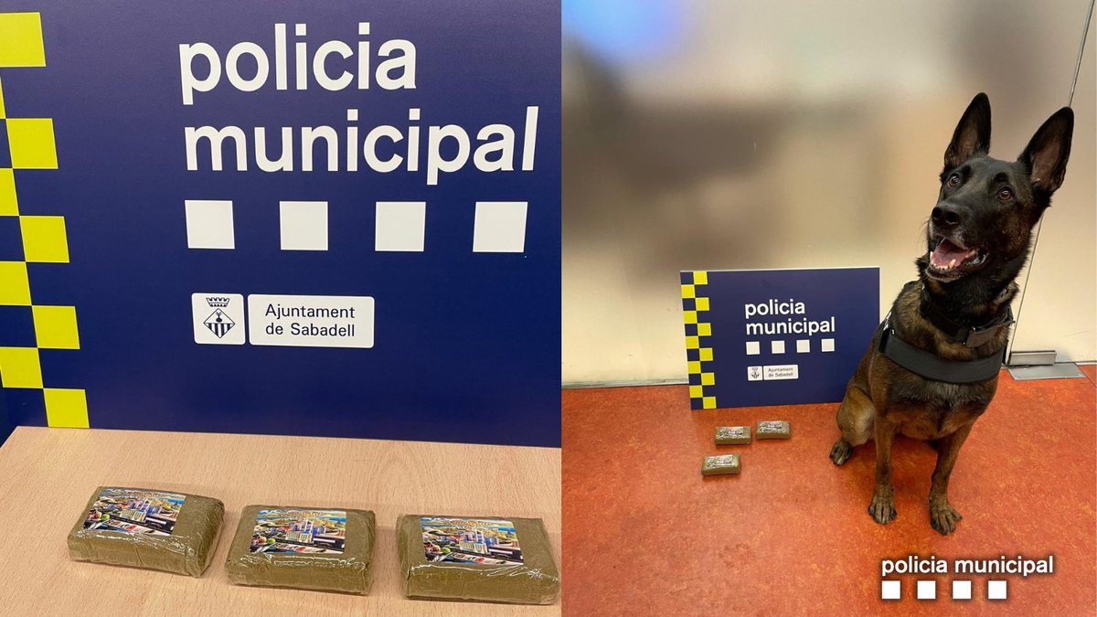 Policia Sabadell tweet media