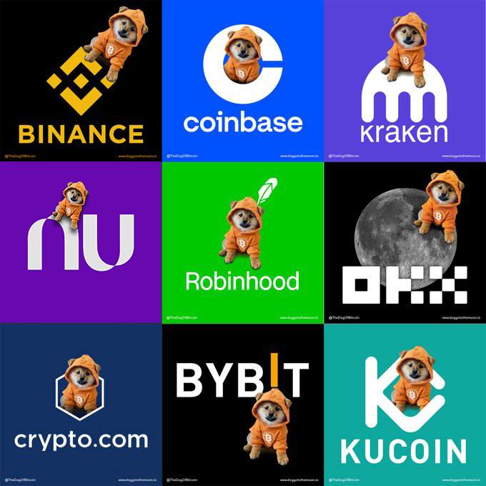 INVESTIRDOZERO's tweet photo. SUPER Petição Para a @binance @coinbase @krakenfx @nubank @RobinhoodApp @okx @cryptocom @Bybit_Official @kucoincom  Listar $DOG a Memecoin nº 1 no Bitcoin! 

✏️Reposte Para Assinar! https://t.co/puJzAiFteD