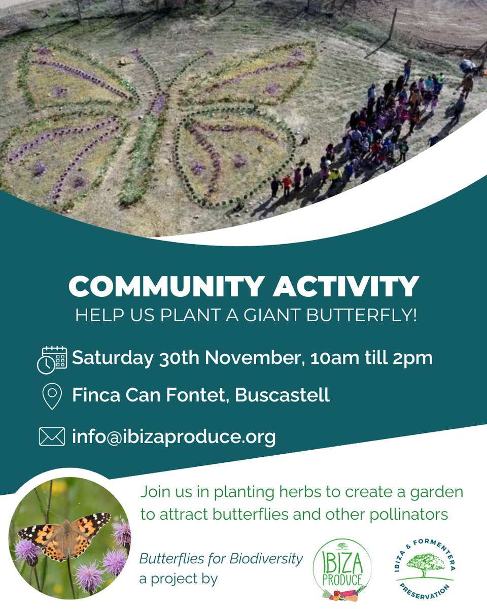 IBZPreservation's tweet image. 🦋 Ayúdanos a aumentar la población de mariposas de la isla 

El sábado 30 de noviembre te esperamos para crear un increíble jardín de hierbas en forma de mariposa y así atraer a estos polinizadores clave para la biodiversidad local 🌺🐝

📩 Inscripciones: info@ibizaproduce.org