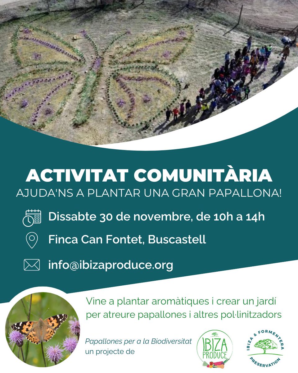 IBZPreservation's tweet image. 🦋 Ayúdanos a aumentar la población de mariposas de la isla 

El sábado 30 de noviembre te esperamos para crear un increíble jardín de hierbas en forma de mariposa y así atraer a estos polinizadores clave para la biodiversidad local 🌺🐝

📩 Inscripciones: info@ibizaproduce.org