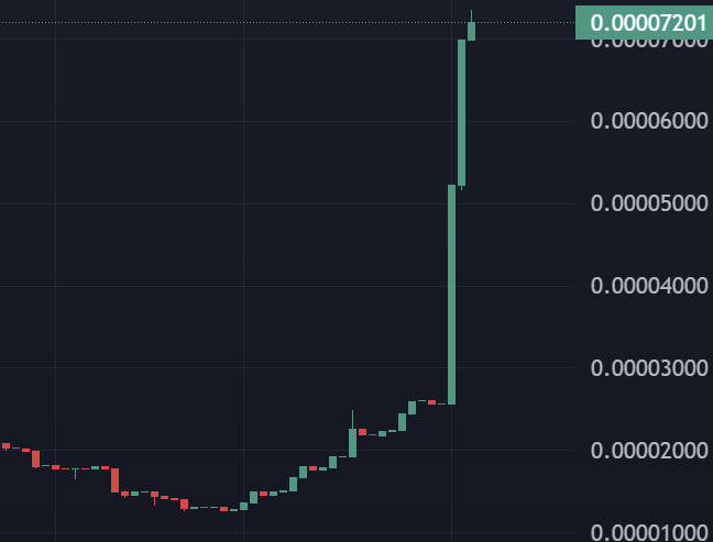 beracapital's tweet photo. when a bera's been in a long hibernation cuz regulators want to make your den illegal, and other beras doing illegal tings to take all da honey

and all the honey is gone for years and years

then one day you wake up and leave your cave and see this

@newberaorder 
$KUBER on Sol https://t.co/mBF1S1sv1V