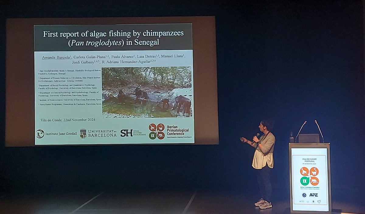 Great talk by Amanda Barciela from <a href="/JaneGoodallEspa/">Jane Goodall España</a> reporting the first report of algae fishing by chimpanzees in Senegal 🙌🏽 #IXIPC <a href="/app_portuguese/">APP - Portuguese Primatological Association</a> <a href="/APEspain/">APE</a>