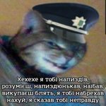 Photo by Слава рино с (@Slavarino)