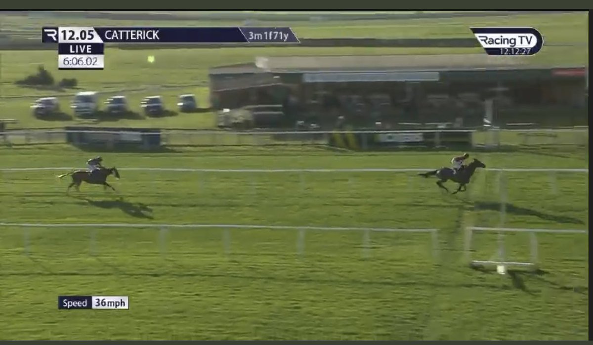 BullyBoyTips's tweet image. You Some Girl hosed up! 10/11 into 4/11!Another NAP win ✅