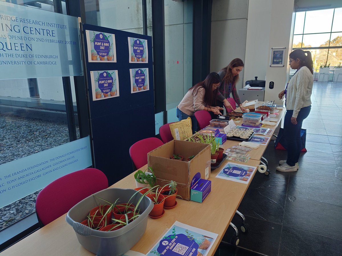 CRUK Cambridge Centre: Pancreatic Cancer Programme tweet media