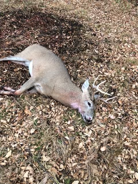 Hunt 2024 is in the books, with all family tags notched.