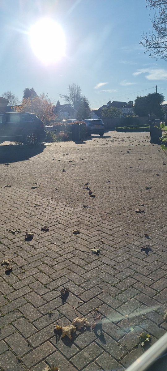 ChrisyWrightnes's tweet photo. The world's worst photo of a grey wagtail..... but it's on my drive so I love it! https://t.co/PJqy2CWp3w