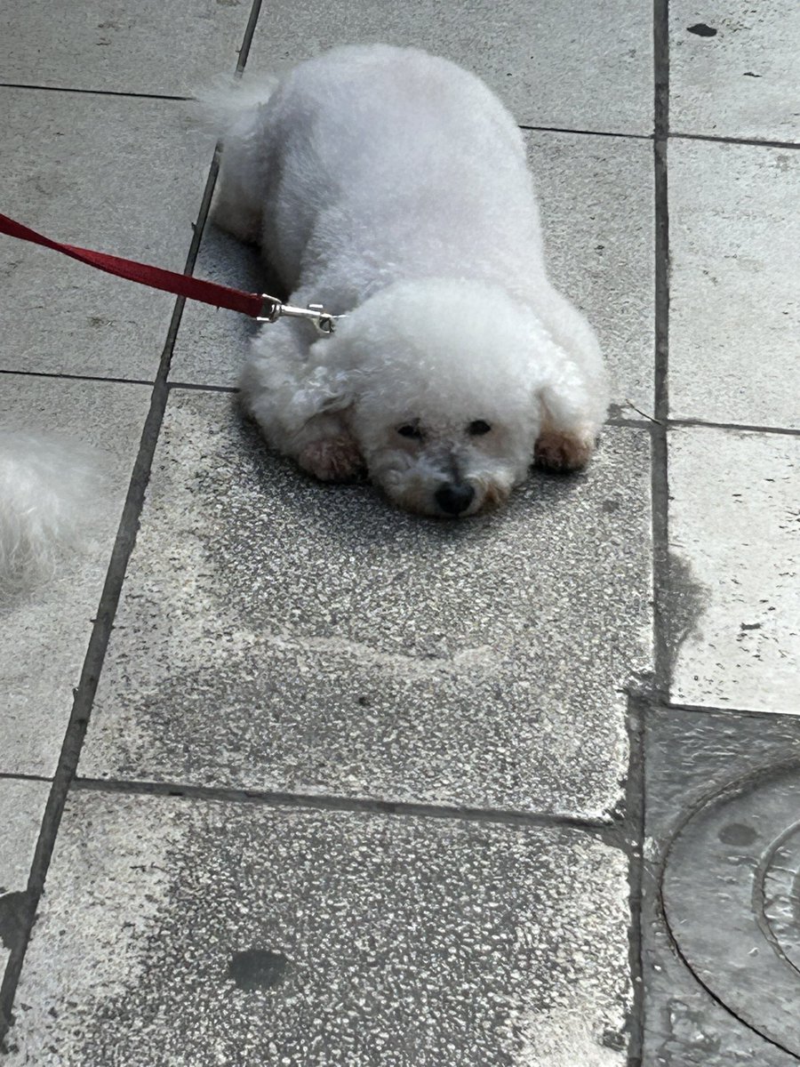 KandelMario's tweet image. Buen día gente.
Arriba ese ánimo.
Hoy está horrible el día pero hay que salir igual.