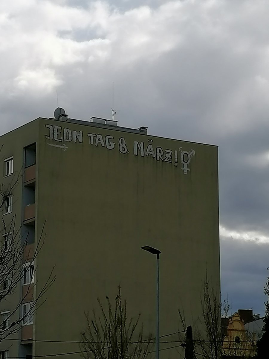 BeneRegoef tweet media