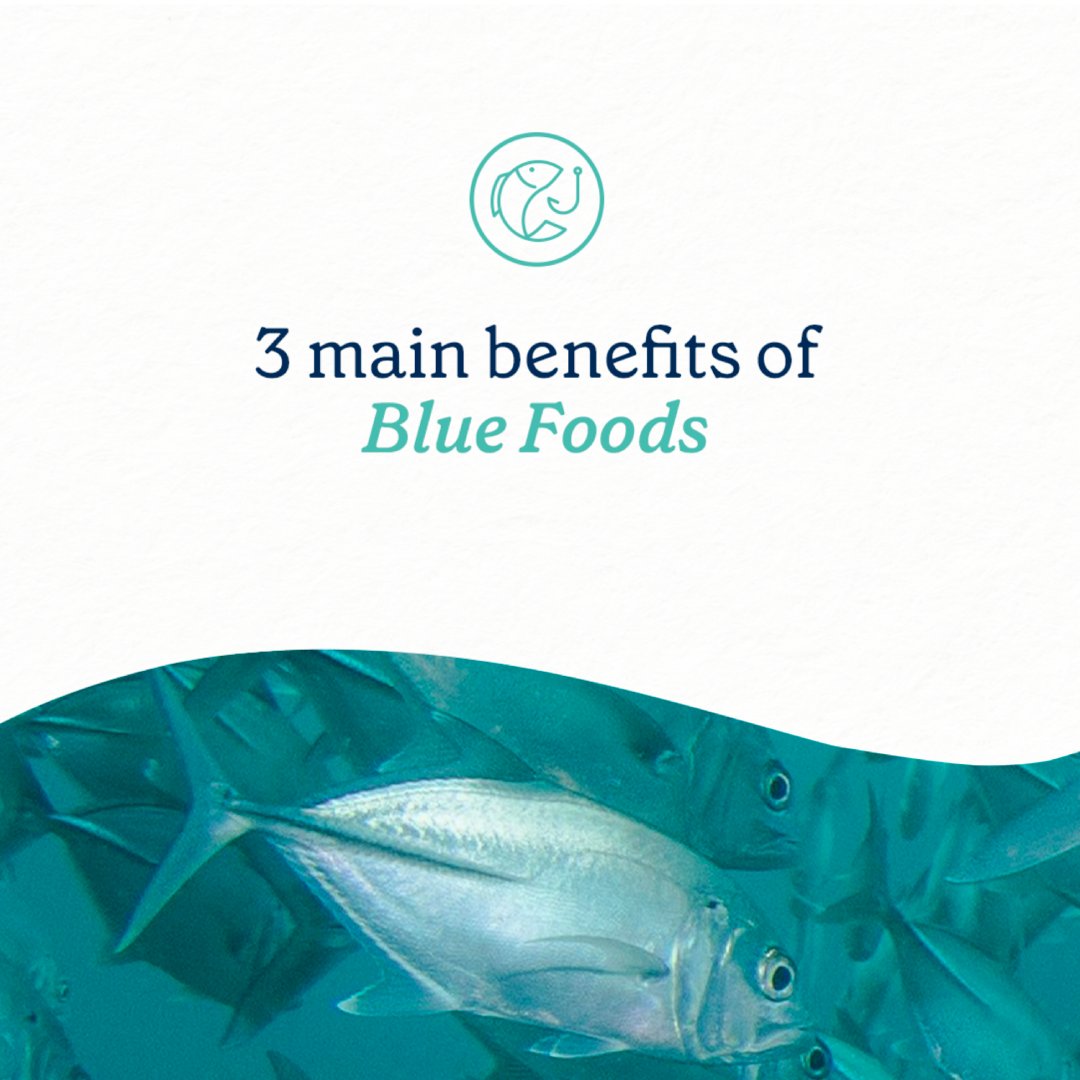 waveofchange's tweet photo. The ocean and coastal ecosystems are crucial for responsible tourism and global food systems. By integrating blue foods into tourism, we can create healthier, more resilient destinations while promoting responsible practices. Let’s make the shift towards sustainability!