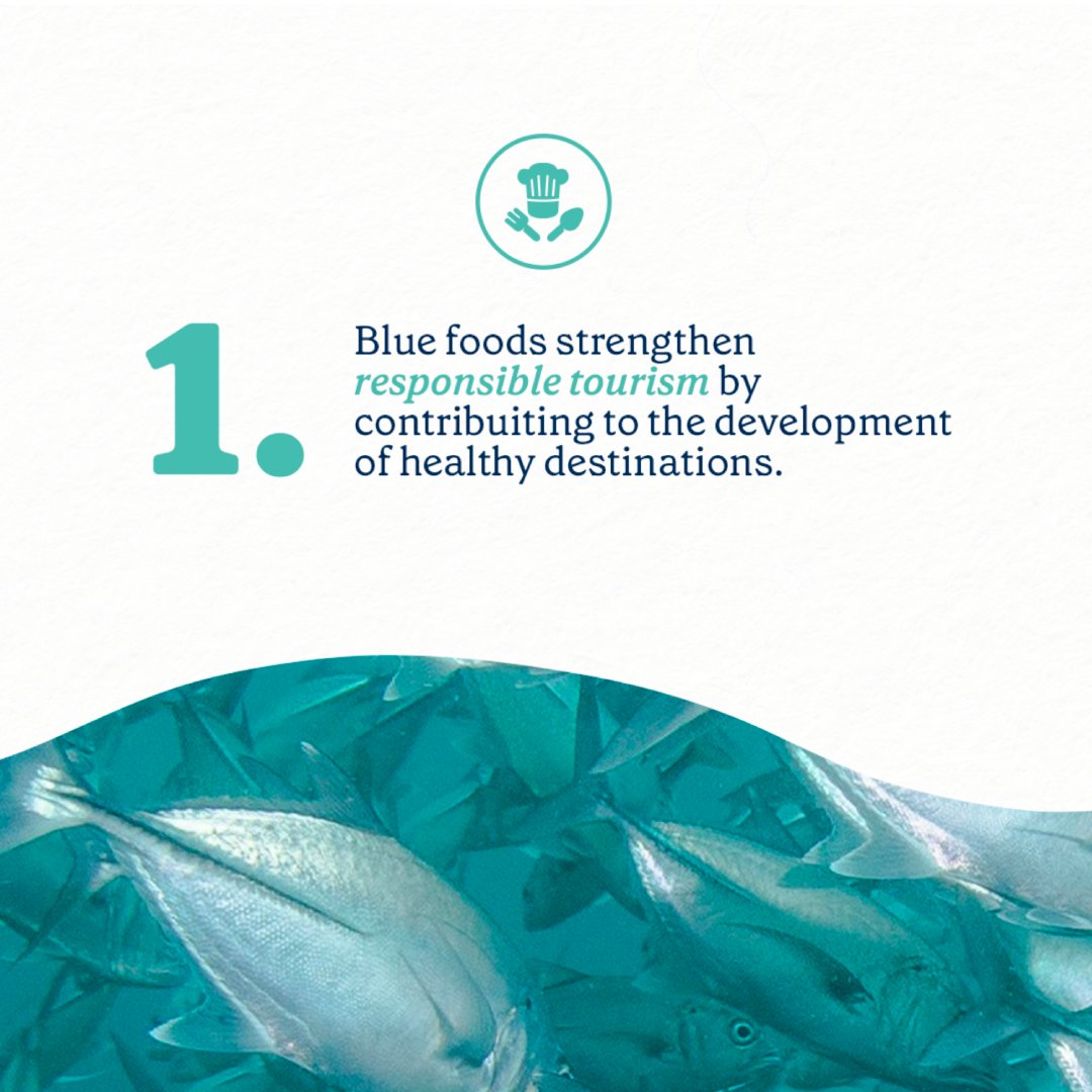 waveofchange's tweet photo. The ocean and coastal ecosystems are crucial for responsible tourism and global food systems. By integrating blue foods into tourism, we can create healthier, more resilient destinations while promoting responsible practices. Let’s make the shift towards sustainability!