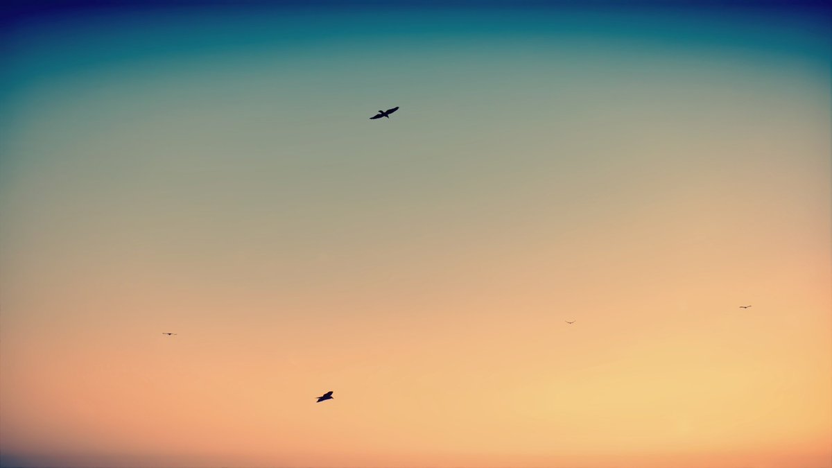 Tanfoi's tweet photo. #VPMinimalism #MinimalFriday
๐ #MadMax
๐ป @AvalancheSweden
#madmaxgame #ThePhotoMode #VGPNetwork #capturecollective https://t.co/iJP3idFIKW