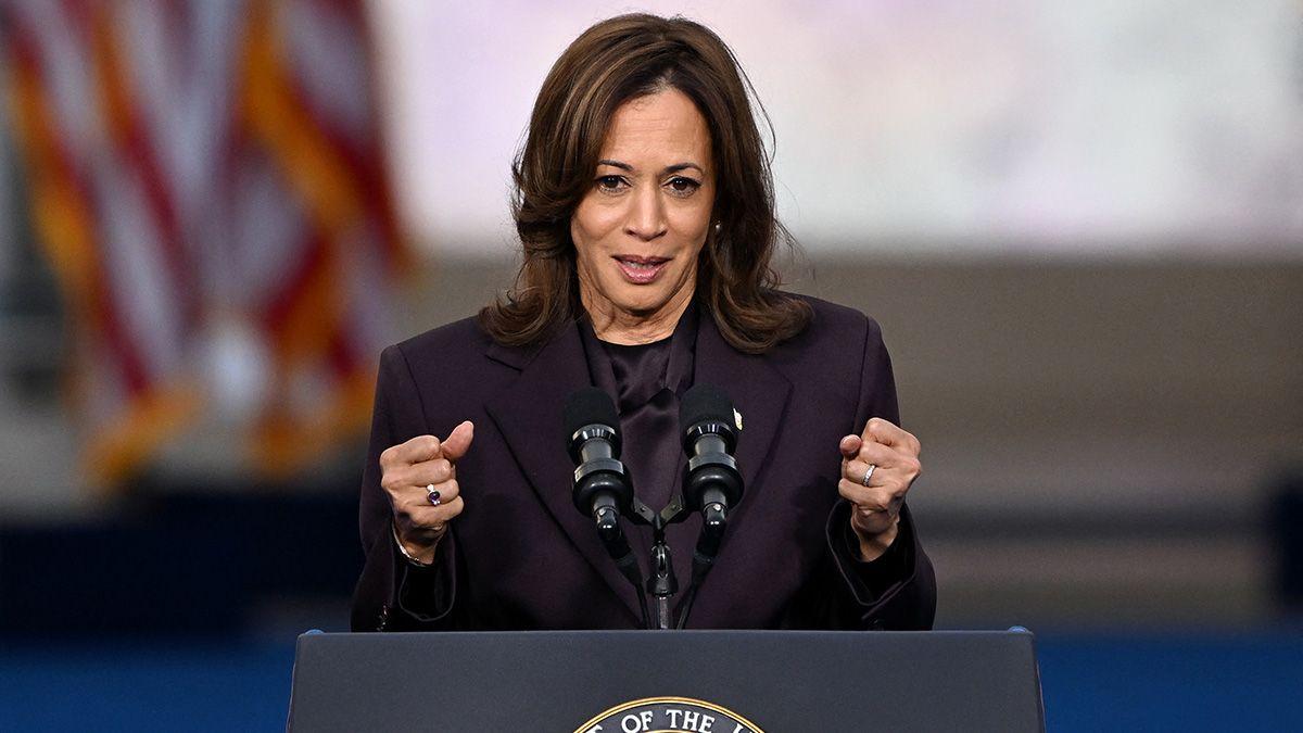snopes's tweet image. The claims in a "duty to warn" letter alleging that a compromised election cost Vice President Kamala Harris a victory are misleading. Here's what we found: snopes.com/news/2024/11/2…