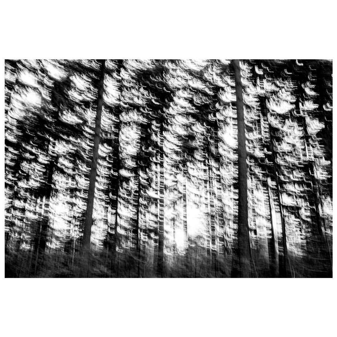 FotoRobVoss's tweet photo. Expo WANDEL in @ACECgebouw foto’s van mij en schilderijen Davitha van de Kuilen. Opening: 
Zaterdag 30 november 16:00 - roggestraat 44, Apeldoorn. #kunst #fotografie #zwartwitfotografie #wandelen #veluwe #komtallen https://t.co/HREALE97Ip