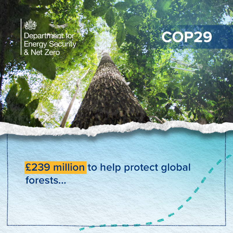 energygovuk's tweet photo. Thriving forests are essential to limit global warming to 1.5°C. 

1.6 billion people also depend on forests for their livelihoods 🌳 That's why we've announced £239m to help protect and restore forests – supporting people and the planet. 

#UKatCOP29 

More 👉