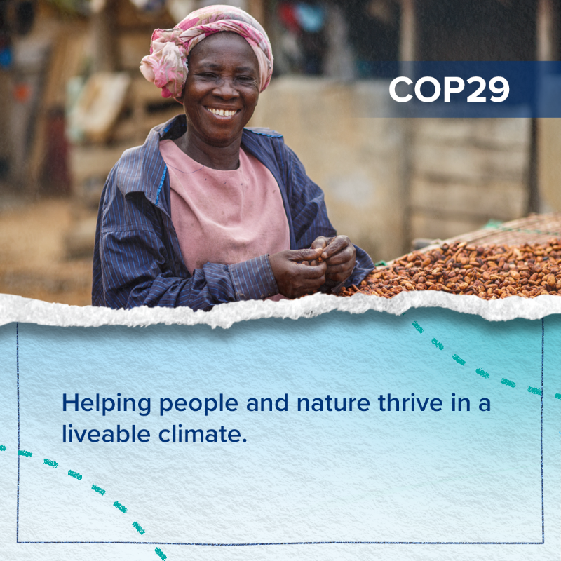 energygovuk's tweet photo. Thriving forests are essential to limit global warming to 1.5°C. 

1.6 billion people also depend on forests for their livelihoods 🌳 That's why we've announced £239m to help protect and restore forests – supporting people and the planet. 

#UKatCOP29 

More 👉