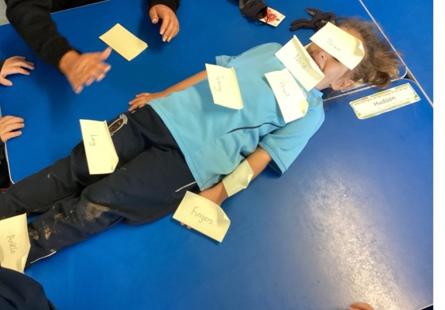 P2 labelled the parts of the human body today as part of their "Hey, Hey, Look at Me" topic <a href="/4321bev/">Beverley McCormick</a> <a href="/STEMHubNI/">STEMHubNI</a>
