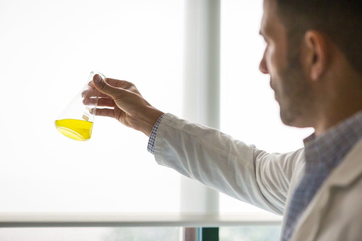 En Molino del Genil, nuestro laboratorio juega un papel clave. Controlamos la maduración de la aceituna y analizamos el aceite en cada etapa para garantizar la máxima calidad.
#MolinodelGenil #AlmazaraIndustrial #Laboratorio #Calidad