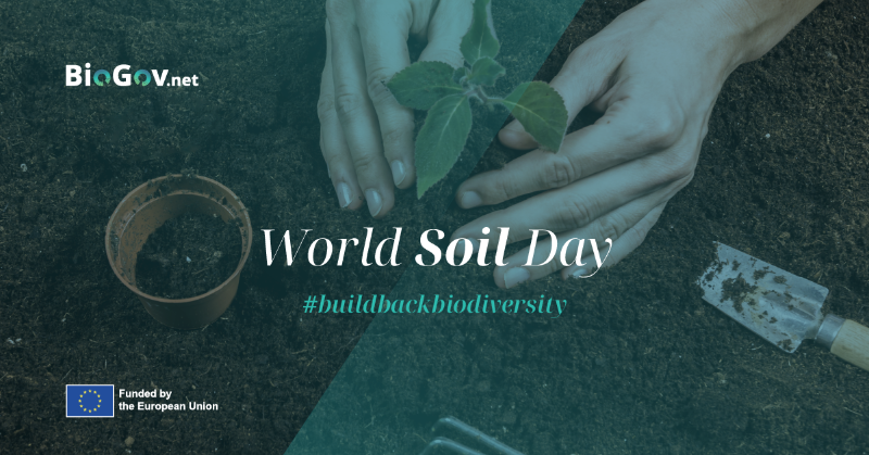 BioGovNet's tweet photo. 🌱 Think soil is just dirt? Think again!

Soil provides the nutrients and structure for #sustainable #agriculture and backs #Bioeconomy. This #WorldSoilDay, celebrate the tiny organisms that keep the soil alive and fertile. 🌿