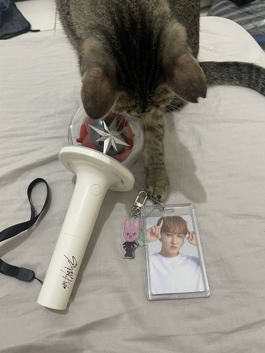 nyongjanim's tweet photo. Changbin's seeing me tomorrow. He better be excited. Char. https://t.co/9a9d1Du9j3