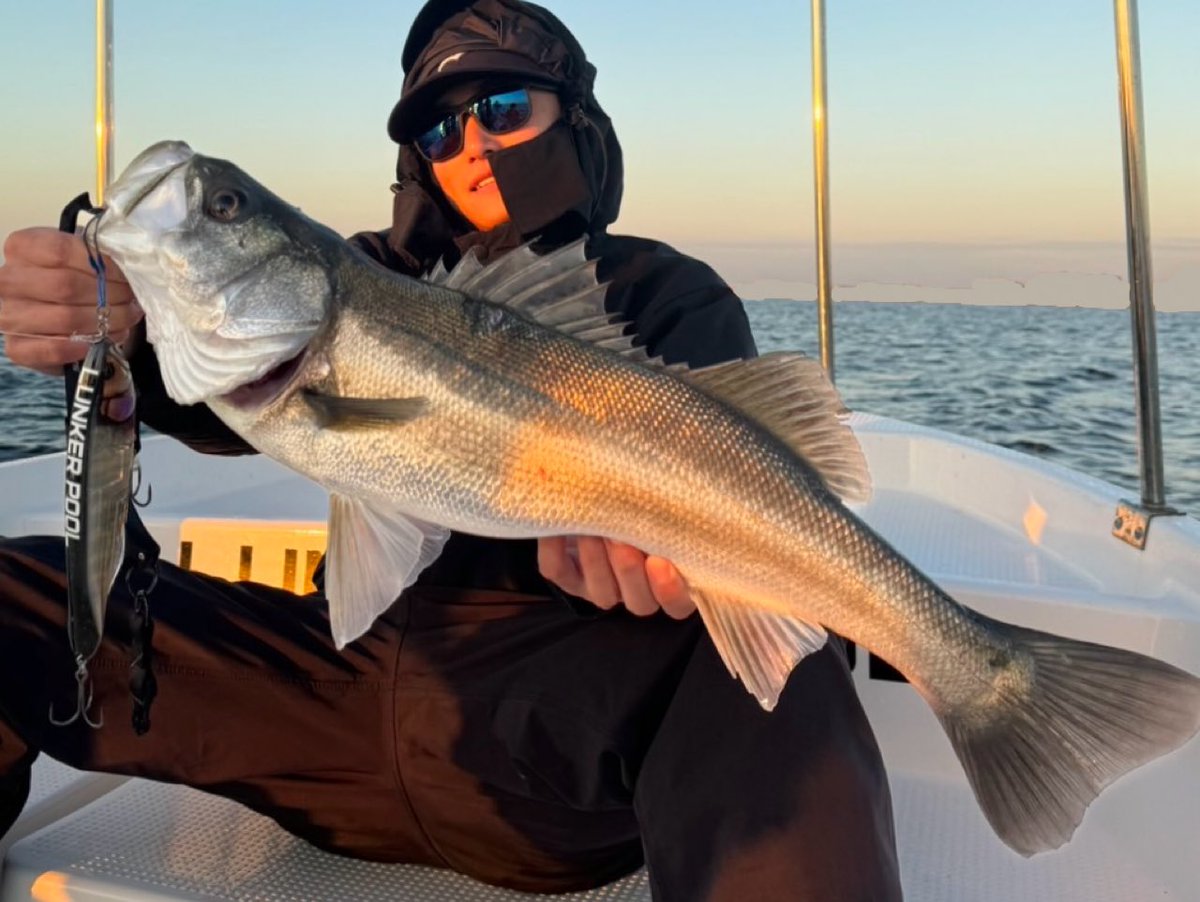 yuton_0727ii's tweet image. KB5朝マズメ。

#KB5
#湾奥最前線
#lunkerpool