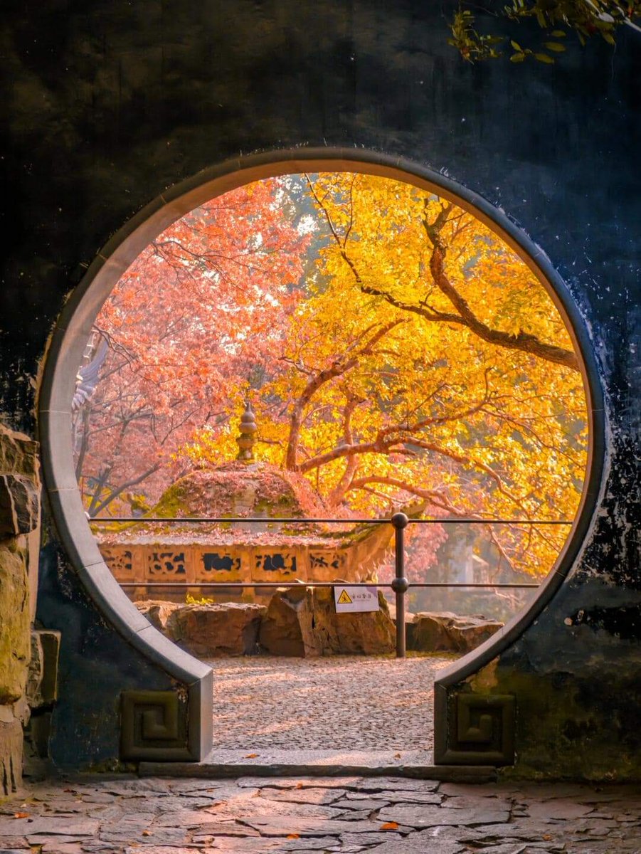 lihanghong1988's tweet photo. #Suzhou, a perfect place to enjoy the #autumn  #Travelin #China https://t.co/0OfjvBUd1I