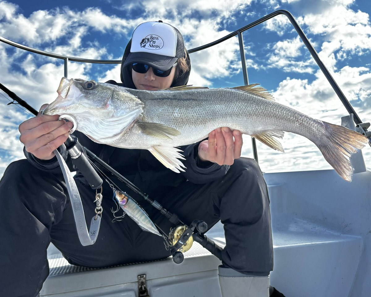 yuton_0727ii's tweet image. ゴーストバラしまくり、、、
ダウズジャーク素晴らしい👍

#KB5
#湾奥最前線
#lunkerpool