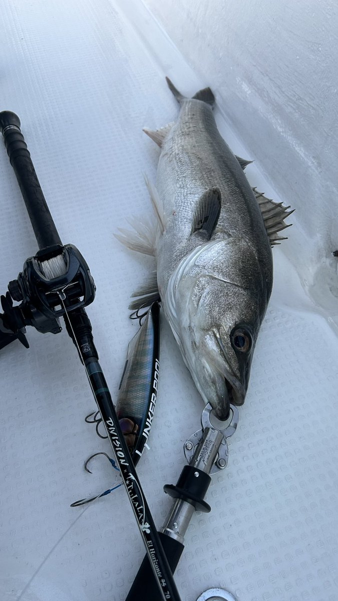 yuton_0727ii's tweet image. ゴーストバラしまくり、、、
ダウズジャーク素晴らしい👍

#KB5
#湾奥最前線
#lunkerpool