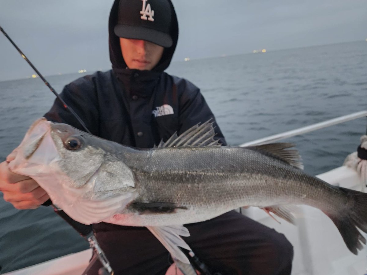 yuton_0727ii's tweet image. KB5でダウズジャーク極めてきた🥋

#KB5
#湾奥最前線
#lunkerpool