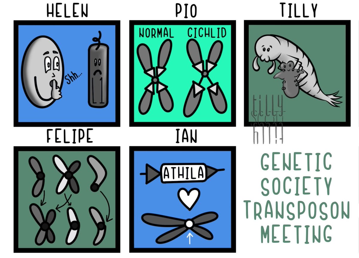 Tilly (Matilda) S Scott tweet media