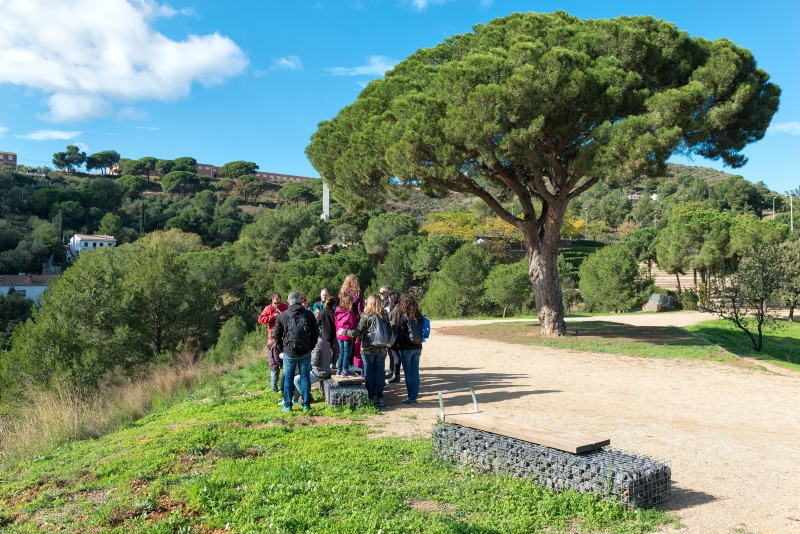 ⚠️Atenció, esdeveniments especials a les Jugatecambientals

22/11 Recuperem activitat ajornada per pluja
Joguines eòliques
17.30 parc del Pi Gros

24/11 participem a la festa de la tardor <a href="/AvvMorera/">Avv Morera-Badalona</a>
Safari fotogràfic
11.30 parc del Torrent de la Font