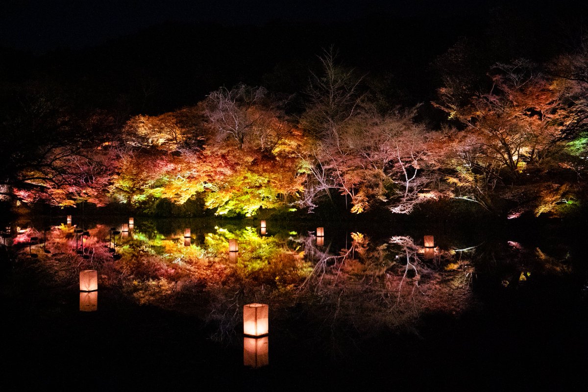 Ichiban Japan tweet media