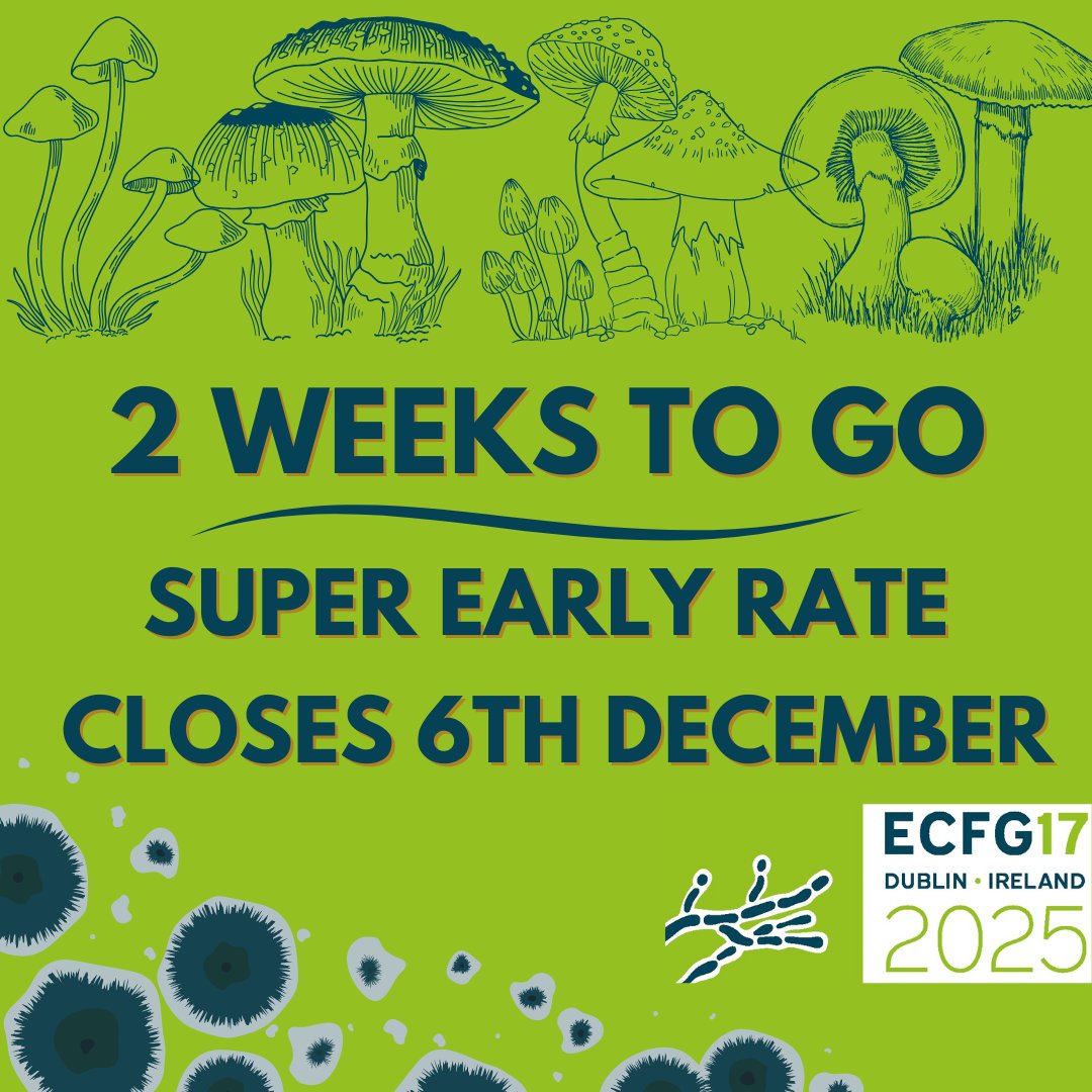 ECFG17Dublin's tweet image. 🚨 2 weeks until our Super Early Registration Rate finishes! 📢
Workshop registration and accommodation also available at best rates! Don't miss your chance to be a part of this exciting conference.🔬
ecfg17.org/registration/
Register today! #ECFG17 #DeadlineApproaching
