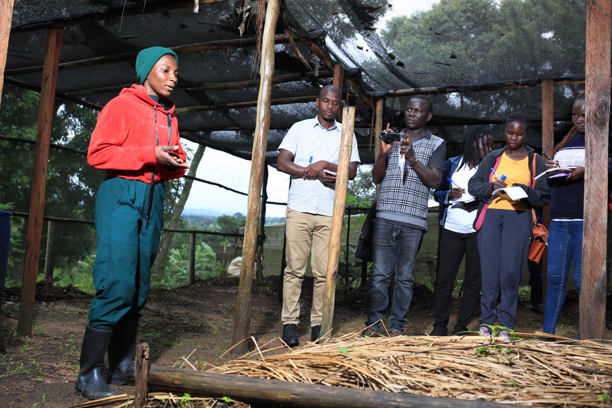 Agroecology_Sch's tweet photo. The Agroecology Learning Journey aims at giving a practical session to journalists.

Hands-on experiences enable journalists to focus on solutions through seeing the potential of Agroecology to address global challenges from which they can frame stories.
 
 #ASJC https://t.co/oYJ05oHYh9