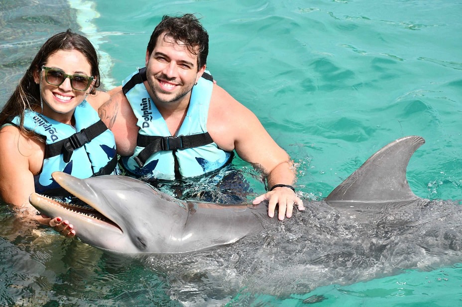 dolphindiscENG's tweet photo. Your next adventure awaits. 🌟
#DolphinDiscovery https://t.co/l5K0B9gWC5