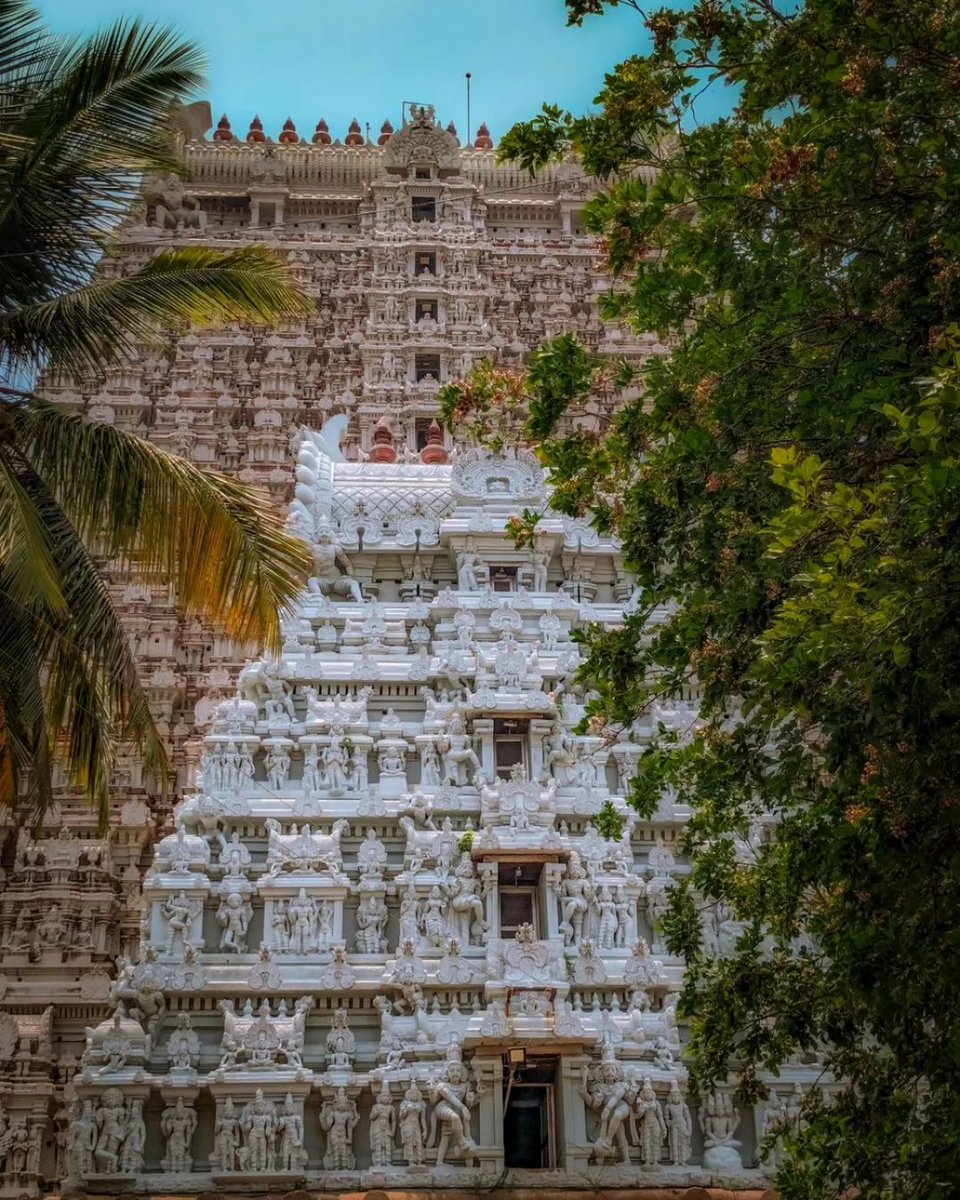 NatGeoTravellerIndia tweet media