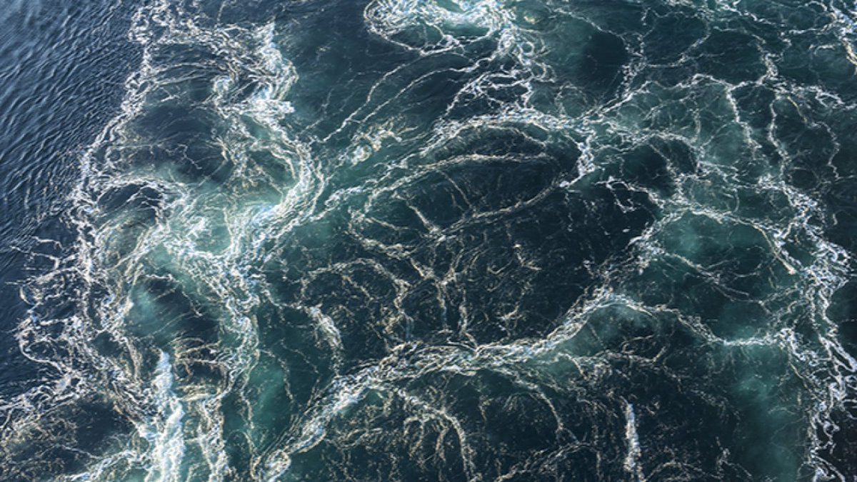 🔬 Le #vendredi c'est #CSTI !
🌍 Retrouvez la #conférence "𝗟’𝗘𝗔𝗨 𝗦𝗨𝗥 𝗧𝗘𝗥𝗥𝗘 𝗘𝗧 𝗗𝗔𝗡𝗦 𝗟𝗘 𝗦𝗬𝗦𝗧𝗘𝗠𝗘 𝗦𝗢𝗟𝗔𝗜𝗥𝗘" 
📆 Le mardi 26 novembre à 18h30 à la salle de conférences Léopold Senghor à #Tours
Plus d'infos : <a href="/_CentreSciences/">Centre•Sciences</a>
<a href="/villedetours/">Ville de Tours</a> <a href="/EchoSciCVL/">EchoSciencesCVL</a>