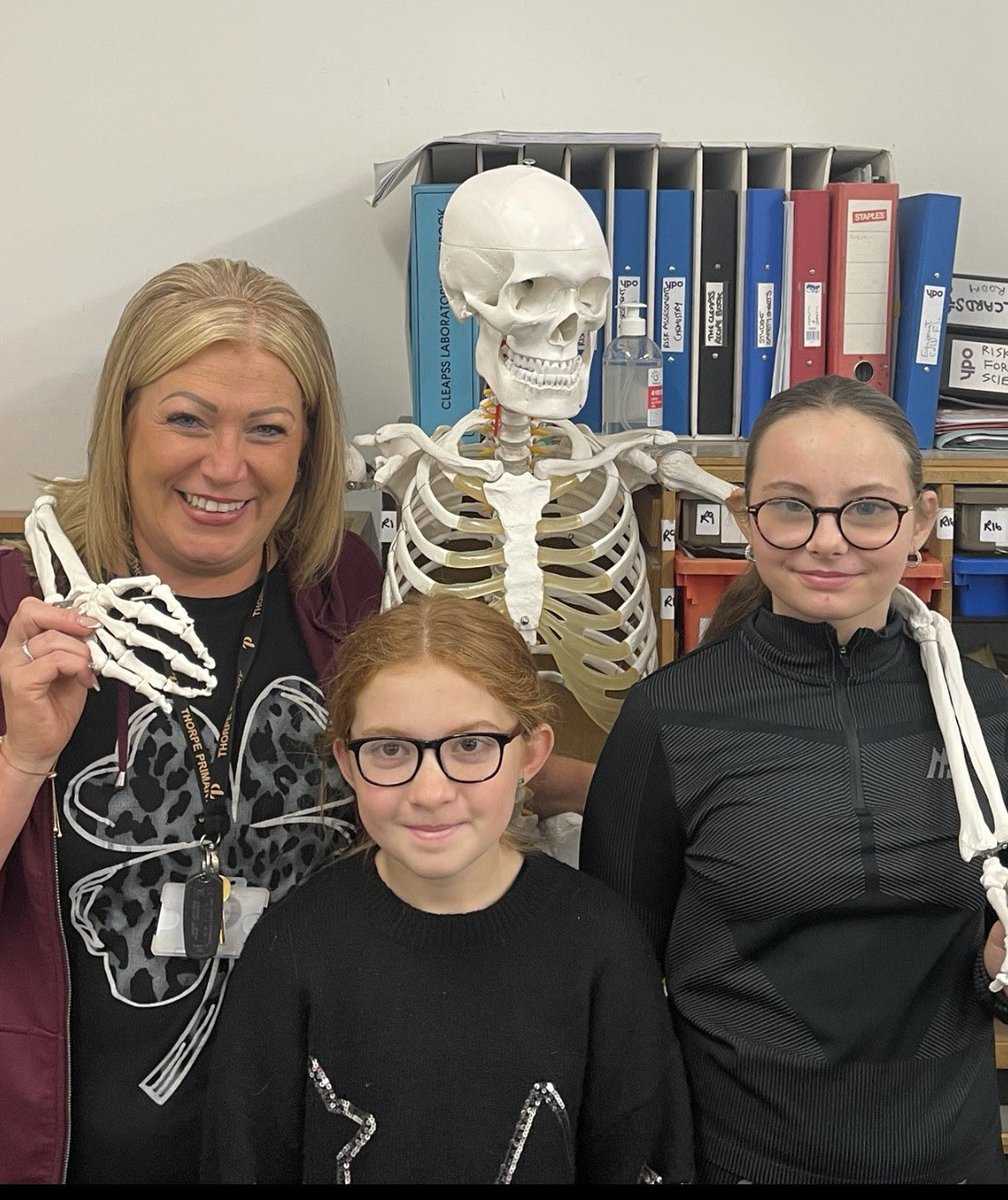 CarltonBolling's tweet photo. As part of their science topic students from @ThorpeBradford exploring the heart and circulation system by dissecting a real heart! They even got to meet Steve the skeleton #ambtion #excellenceforall #CurriculumScience https://t.co/wQz8zcWFIP