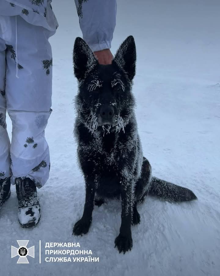 ❄️ ‘Winter is gaining momentum. In the mountainous areas of the state border of Ukraine 🇺🇦 with Romania 🇷🇴