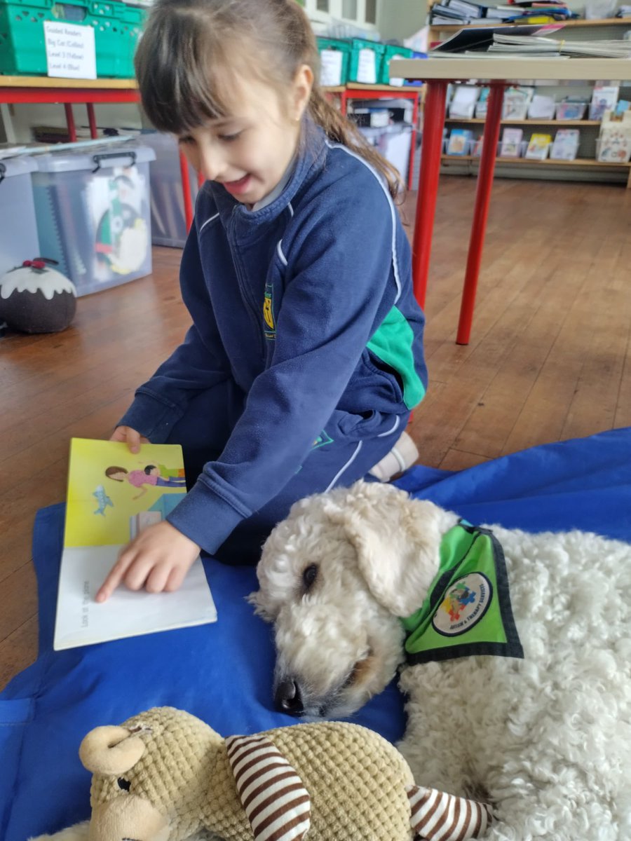 Bunscoil Chríost Rí (@bunscoilc) on Twitter photo How lucky was Theo to hear such lovely stories during ‘Theo Tales” today 🐾🦮📚🫶🏼 <a href="/mycaninecompani/">My Canine Companion</a> #mycaninecompanion How lucky was Theo to hear such lovely stories during ‘Theo Tales” today 🐾🦮📚🫶🏼 <a href="/mycaninecompani/">My Canine Companion</a> #mycaninecompanion