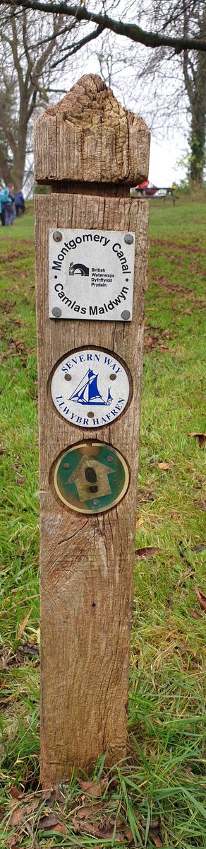 chrisjay tweet media