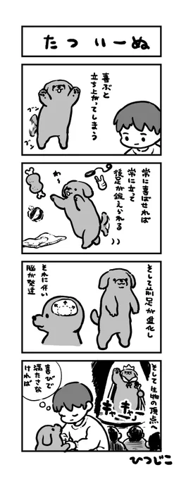 今日の4コマ たついーぬ 