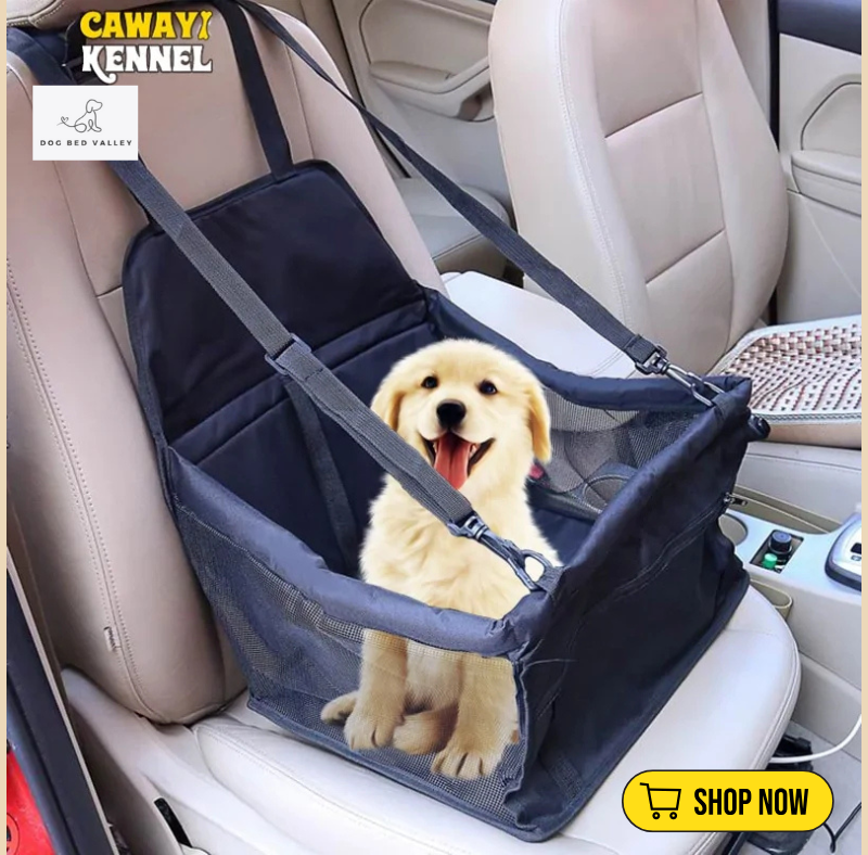 dogbedvalley's tweet photo. 🐶💖 Adventure awaits! Protect your car with our stylish &amp; durable Travel Dog Car Seat Cover. Made for adventure, designed for comfort. What's your dog's favorite travel spot? Comment below! 🚙❤️
Shop Now: https://t.co/Rez7LGpR1L https://t.co/flYIPabbwM