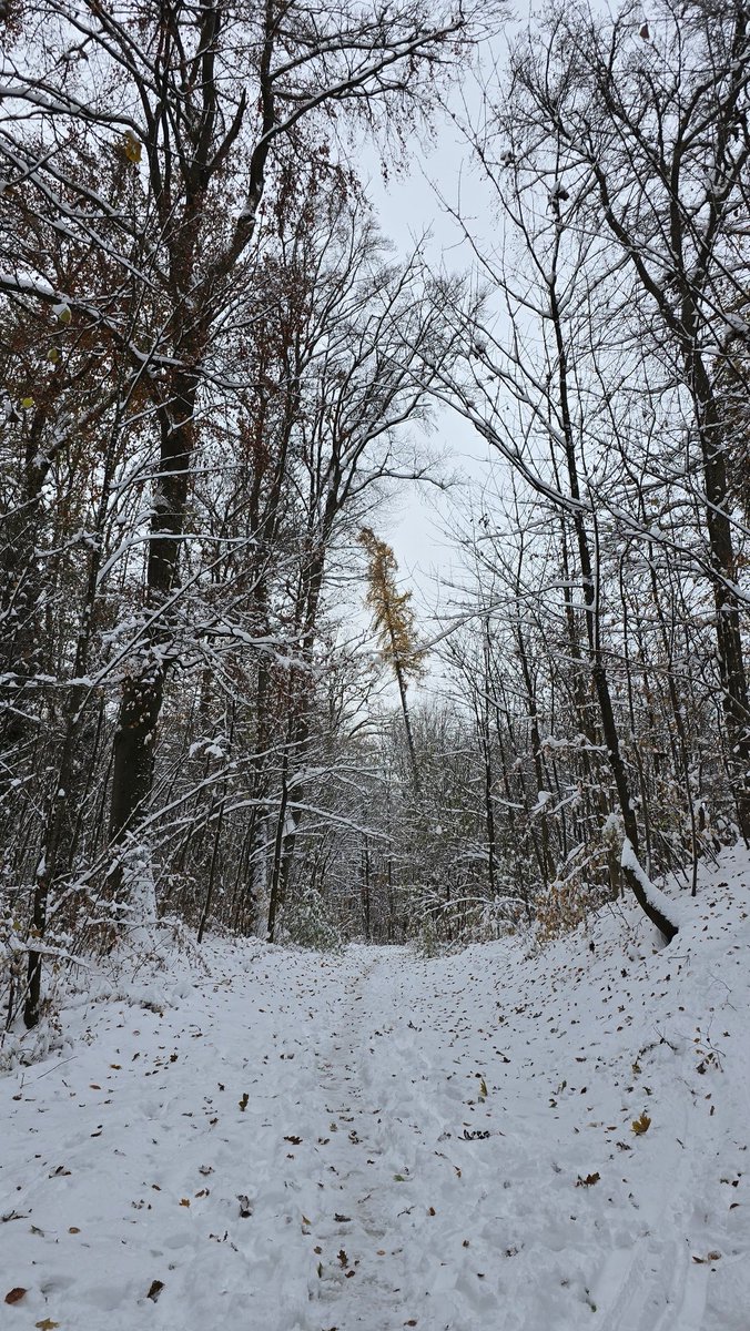 Barbara Keller tweet media